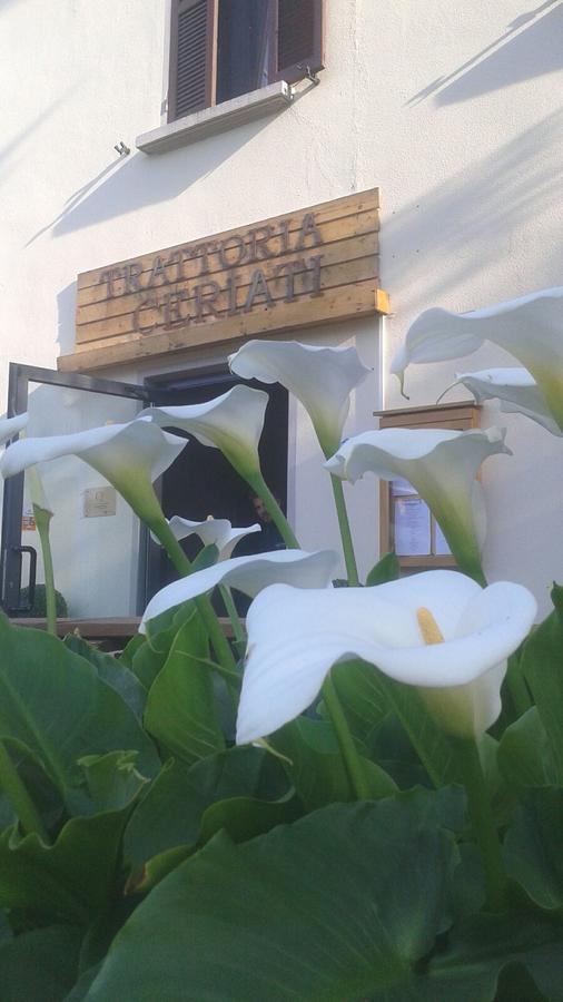 Trattoria Ceriati Room & Breakfast Salsomaggiore Terme Exteriér fotografie